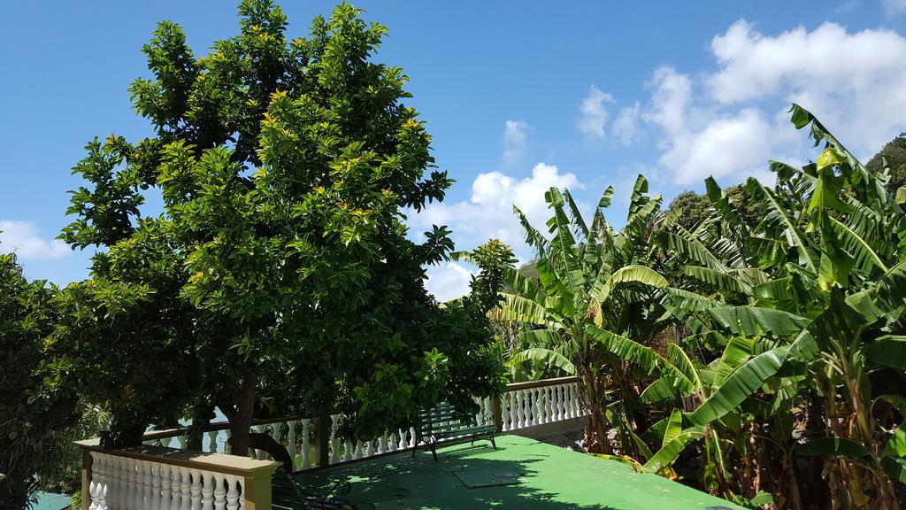 Hibiscus House Seychelles Self Catering Apartment Victoria Bagian luar foto