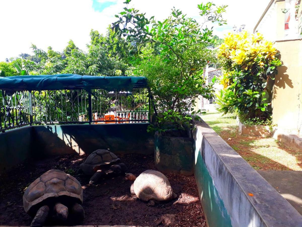 Hibiscus House Seychelles Self Catering Apartment Victoria Bagian luar foto